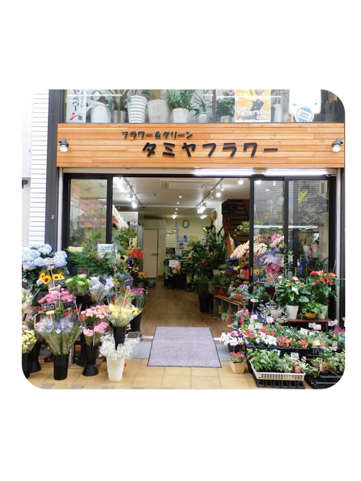フラワー＆グリーン タミヤフラワー