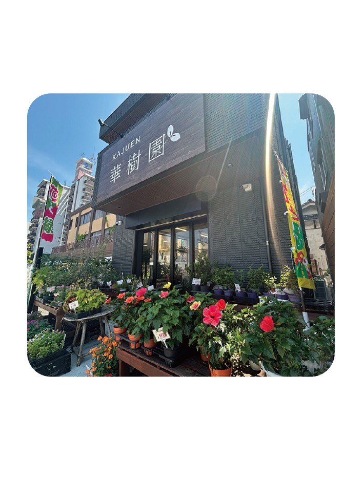 華樹園