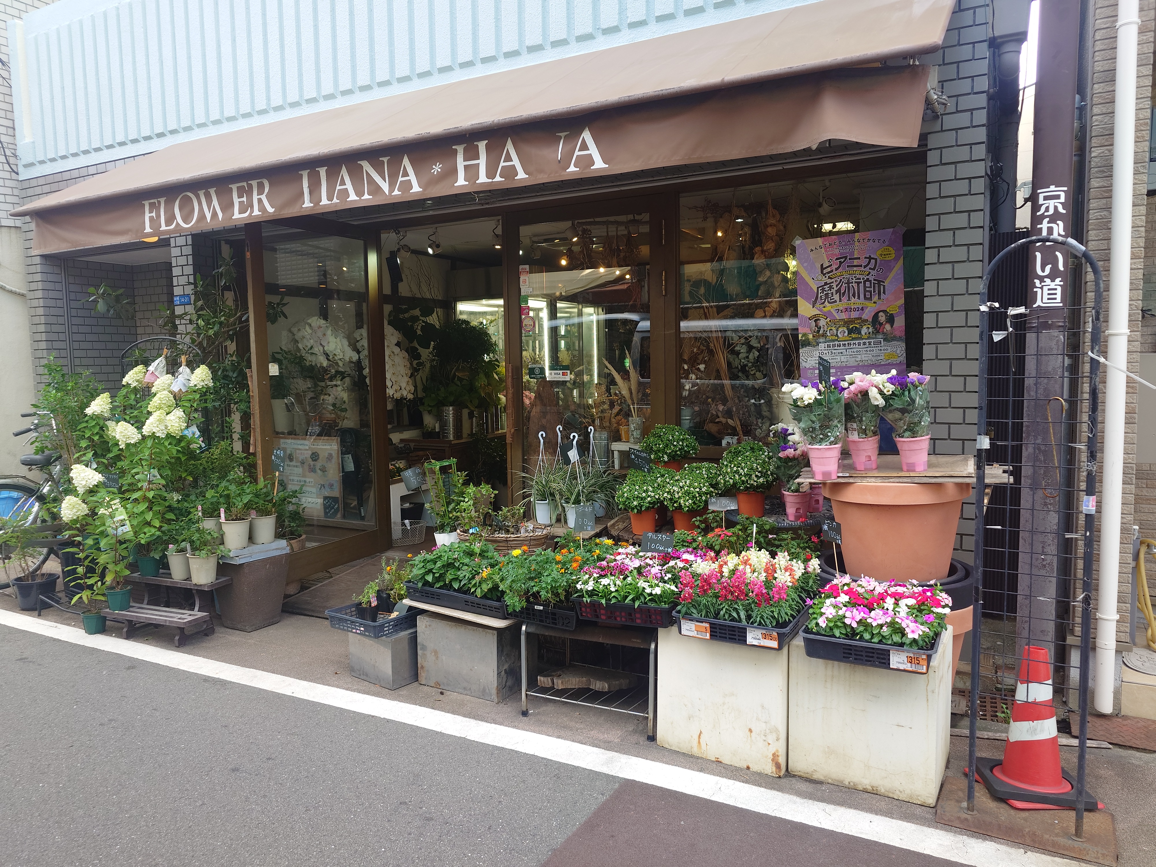 フラワーギフトHana Hana